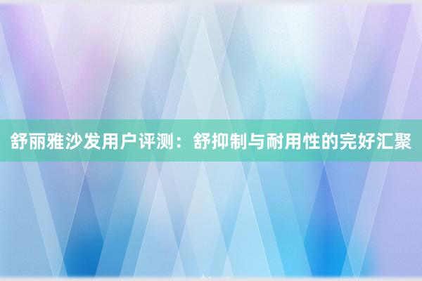 舒丽雅沙发用户评测：舒抑制与耐用性的完好汇聚